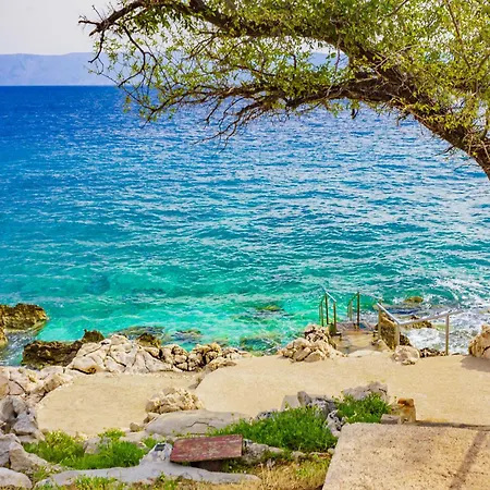 In 51455 نوفي فينودولسكي